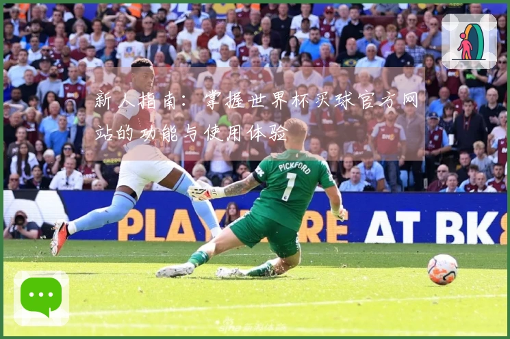 新人指南：掌握世界杯买球官方网站的功能与使用体验