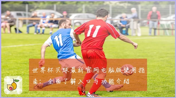 世界杯买球最新官网电脑版使用指南：全面了解入口与功能介绍