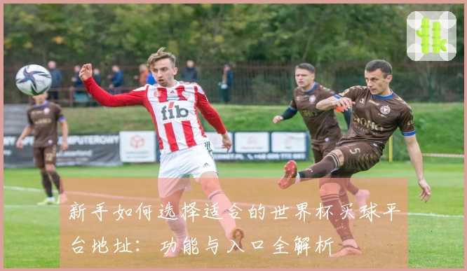 新手如何选择适合的世界杯买球平台地址：功能与入口全解析