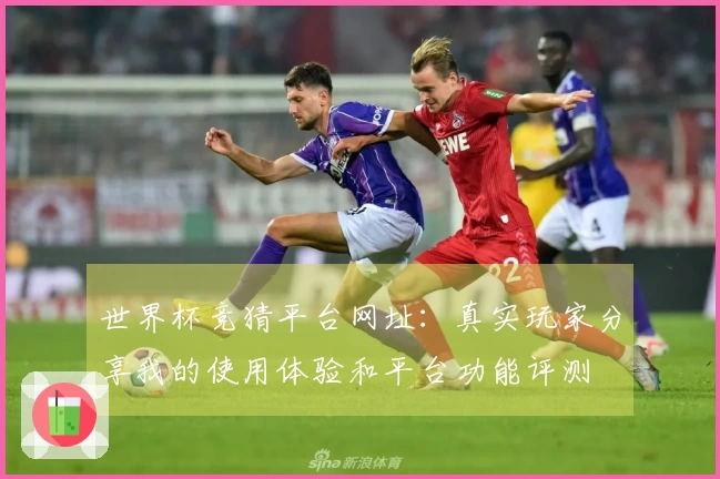世界杯竞猜平台网址：真实玩家分享我的使用体验和平台功能评测