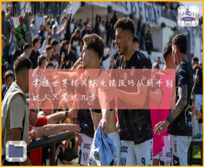 掌握世界杯买球竞猜技巧从新手到达人只需这几步