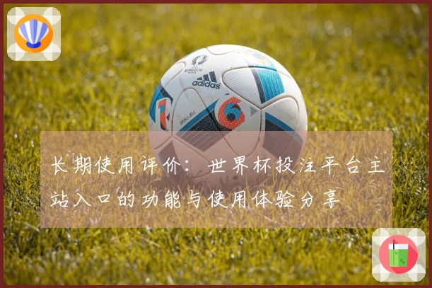 长期使用评价:世界杯投注平台主站入口的功能与使用体验分享
