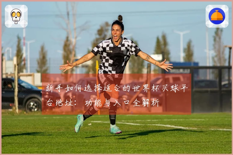 新手如何选择适合的世界杯买球平台地址：功能与入口全解析