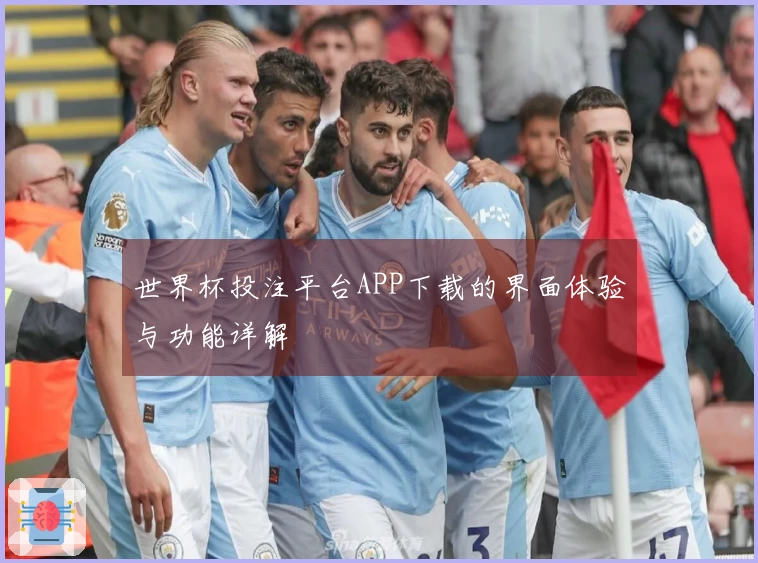 世界杯投注平台APP下载的界面体验与功能详解