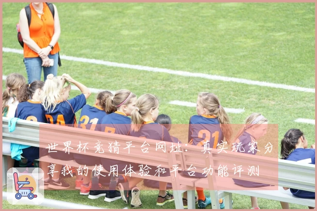 世界杯竞猜平台网址：真实玩家分享我的使用体验和平台功能评测