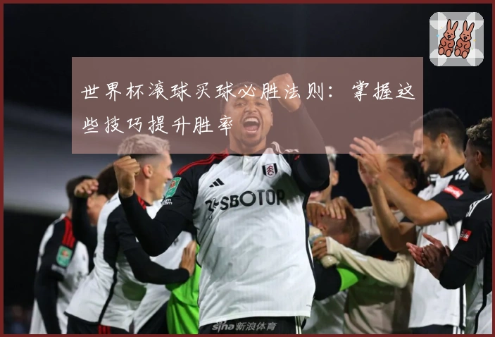 世界杯滚球买球必胜法则：掌握这些技巧提升胜率